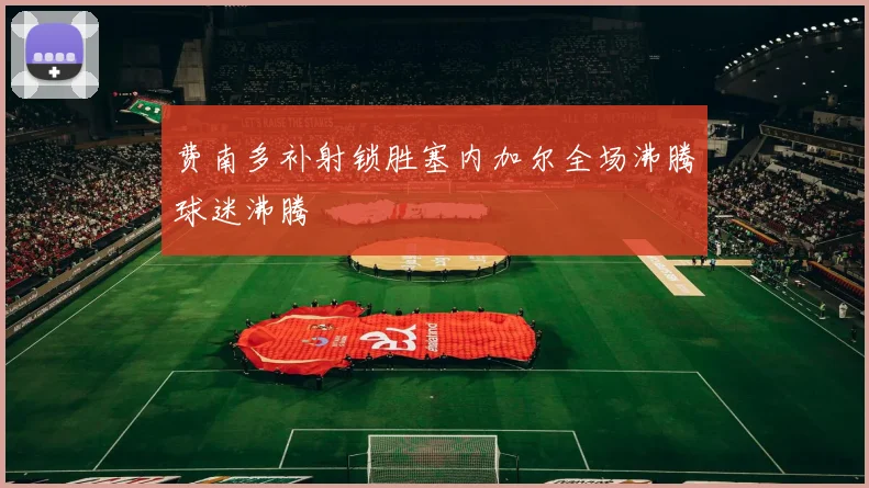 费南多补射锁胜塞内加尔全场沸腾球迷沸腾