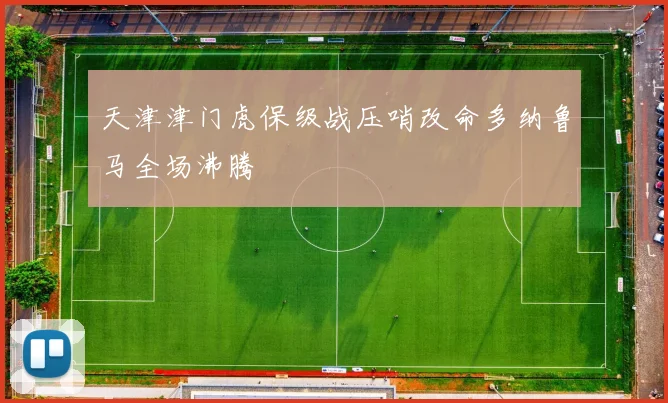 天津津门虎保级战压哨改命多纳鲁马全场沸腾