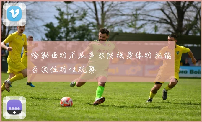 哈勒面对厄瓜多尔防线身体对抗能否顶住对位观察