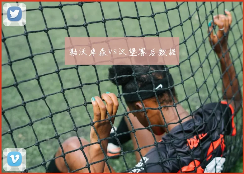 勒沃库森vs汉堡赛后数据